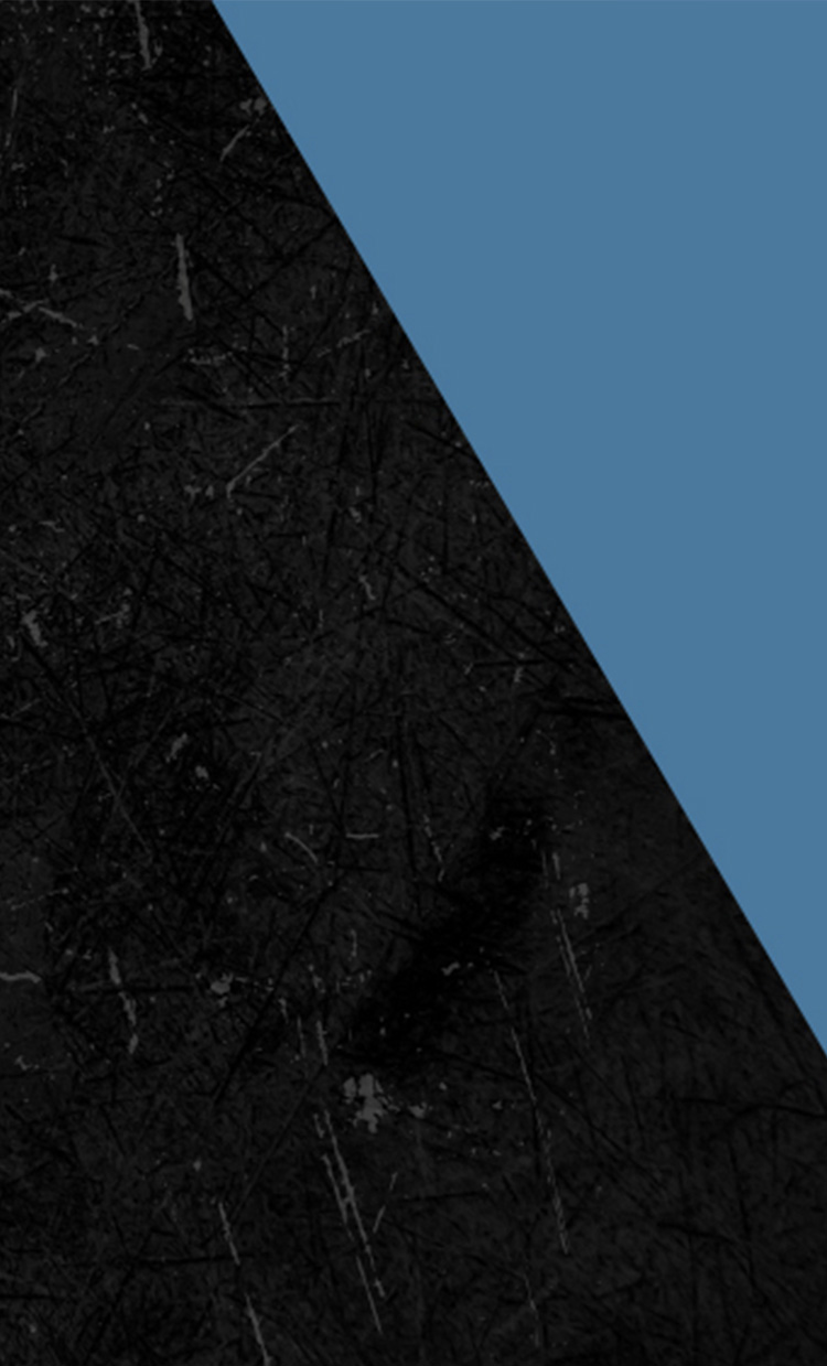 DIAMOND BRIDGE 〜DREAM LIVE VOCALIST SPECIAL〜